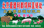 北京爱德利都饲料