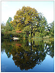 夏日皇宫花园 Summer Palace Gardens