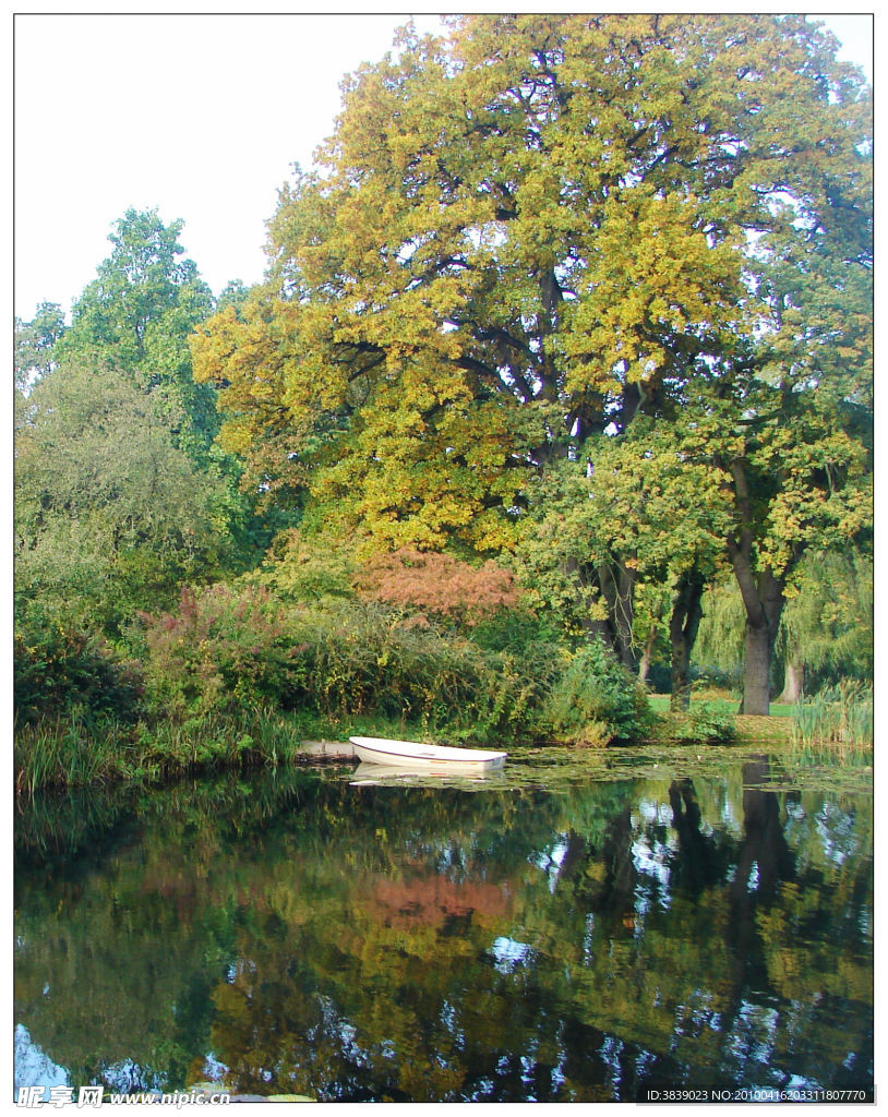 夏日皇宫花园 Summer Palace Gardens