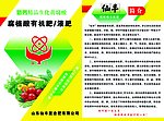 化肥宣传页