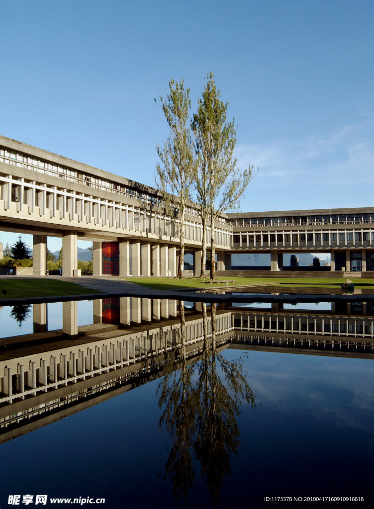 英格兰萨里大学 学校后院