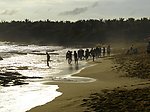 海滩上淌水的人们 海滩 沙滩 海边