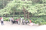 路边小歇