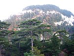 华山