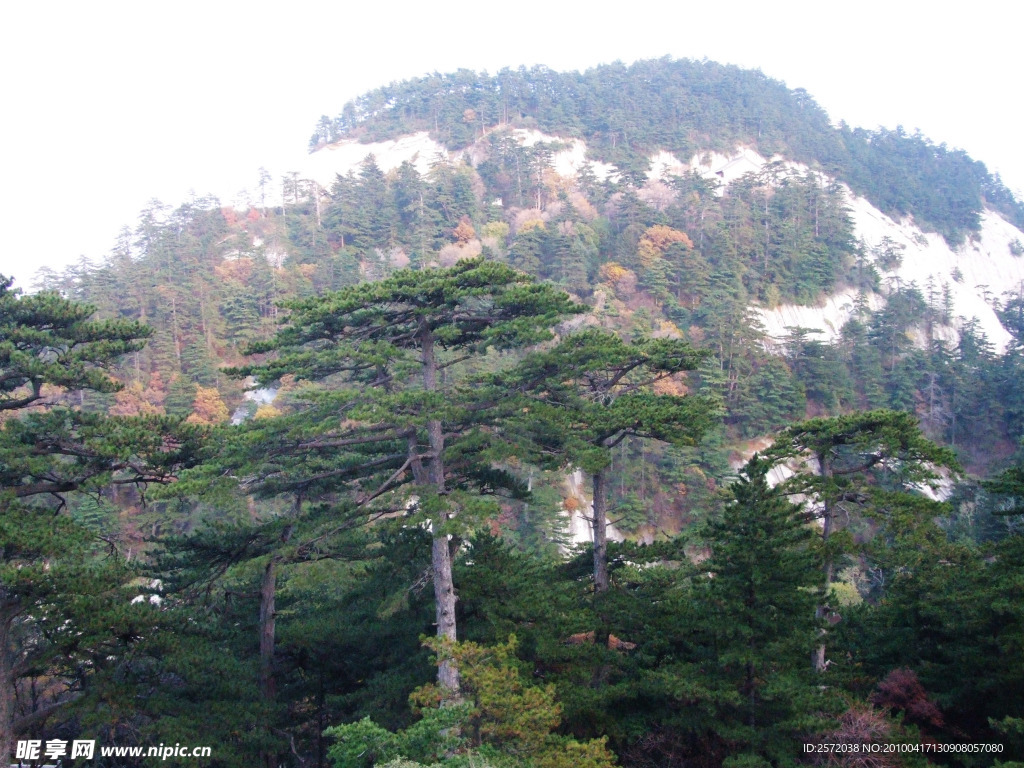 华山