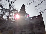 阳光塔