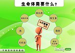 绿色环保杂志内页
