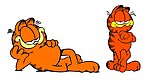 加菲猫