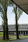 英格兰萨里大学 学校后院