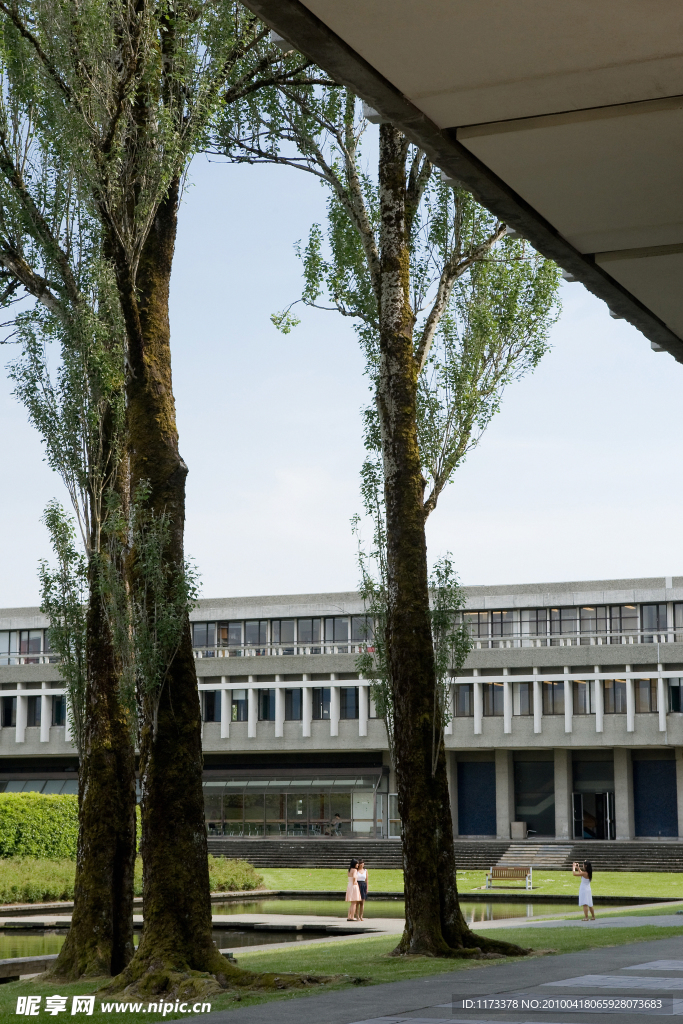 英格兰萨里大学 学校后院