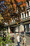 英格兰萨里大学 学校后院门