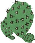 仙人掌