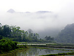 山村晓雾 田园山村