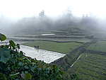 桂林山村 乡村小景