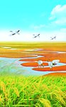水稻 风景 仙鹤