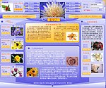 企业网站