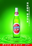 力加啤酒广告