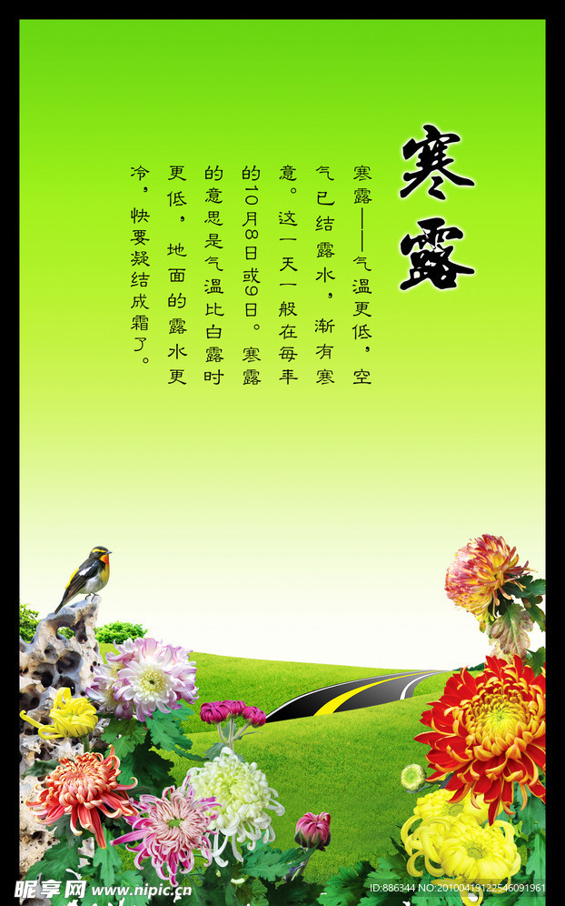 秋菊风景模板设计