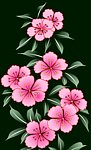 粉红色的花朵