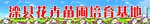 花卉苗圃培育基地