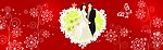 婚礼海报