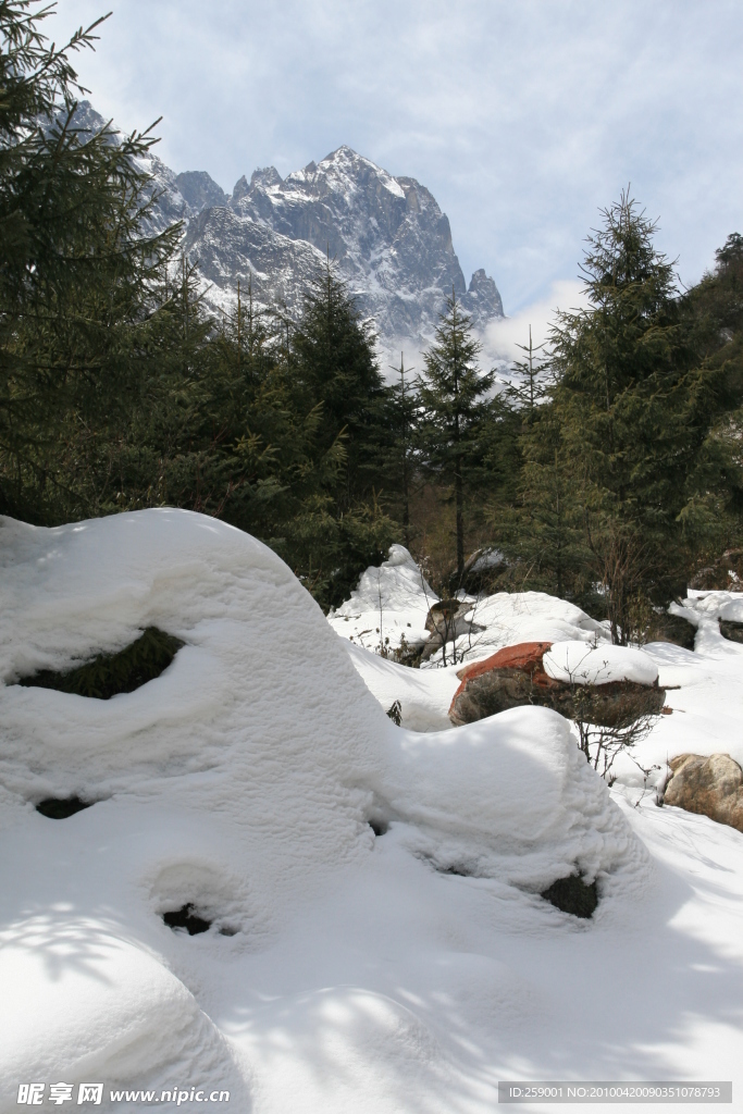 雪景