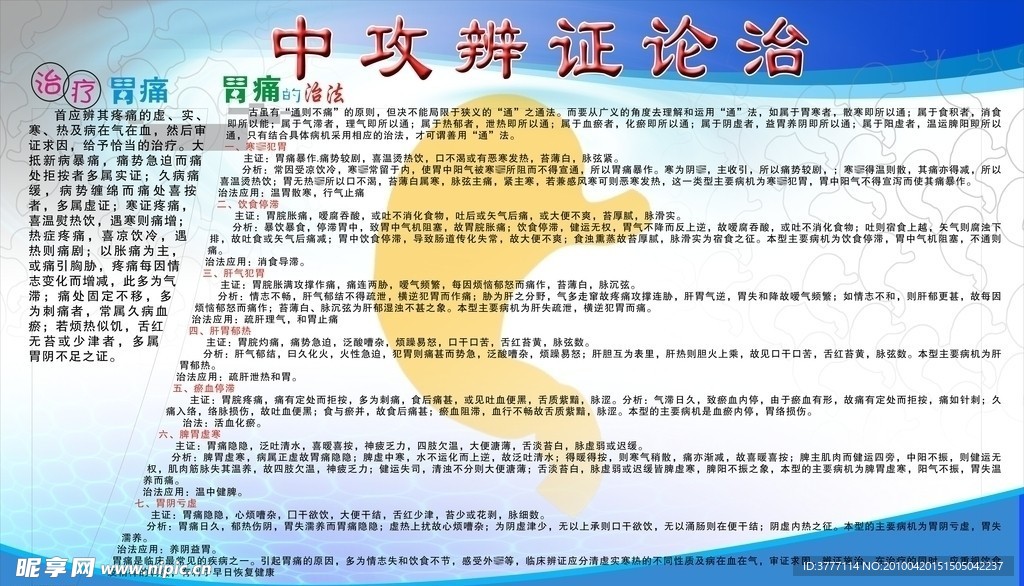 中医辨证论治