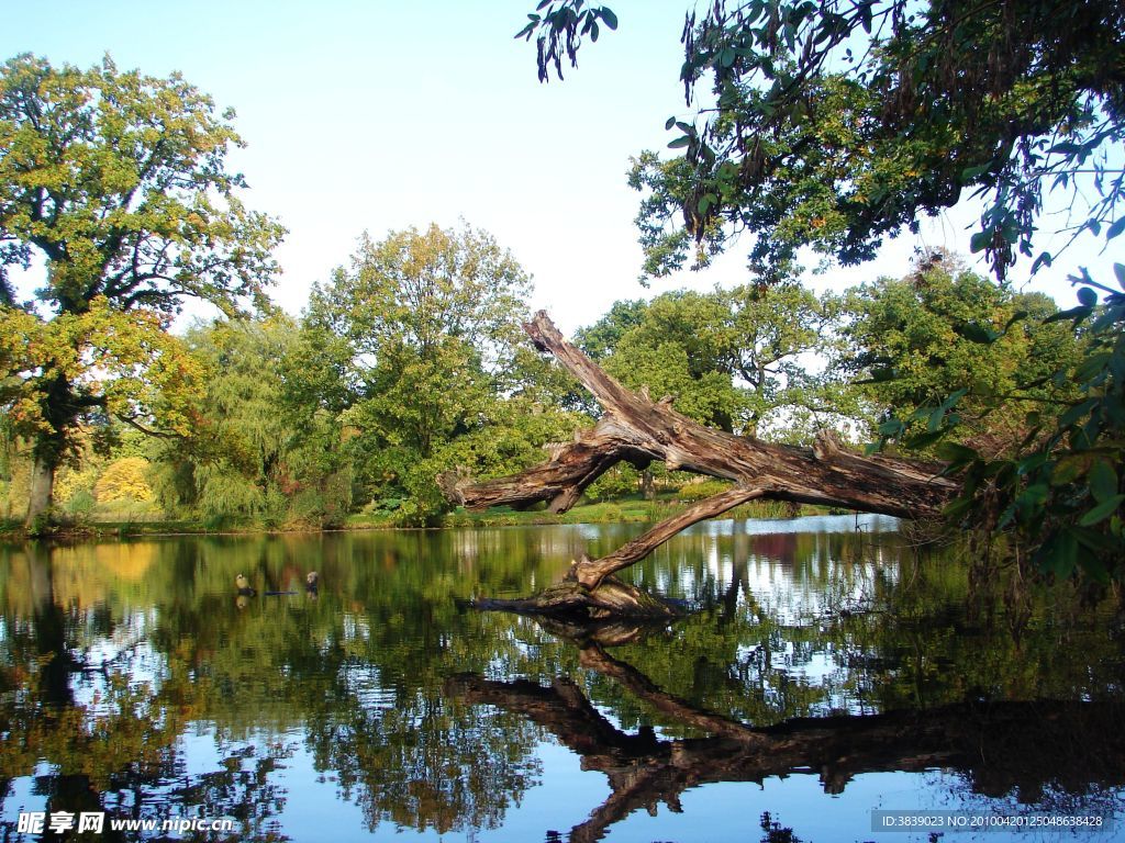 夏日皇宫花园 Summer Palace Gardens