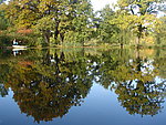 夏日皇宫花园 Summer Palace Gardens