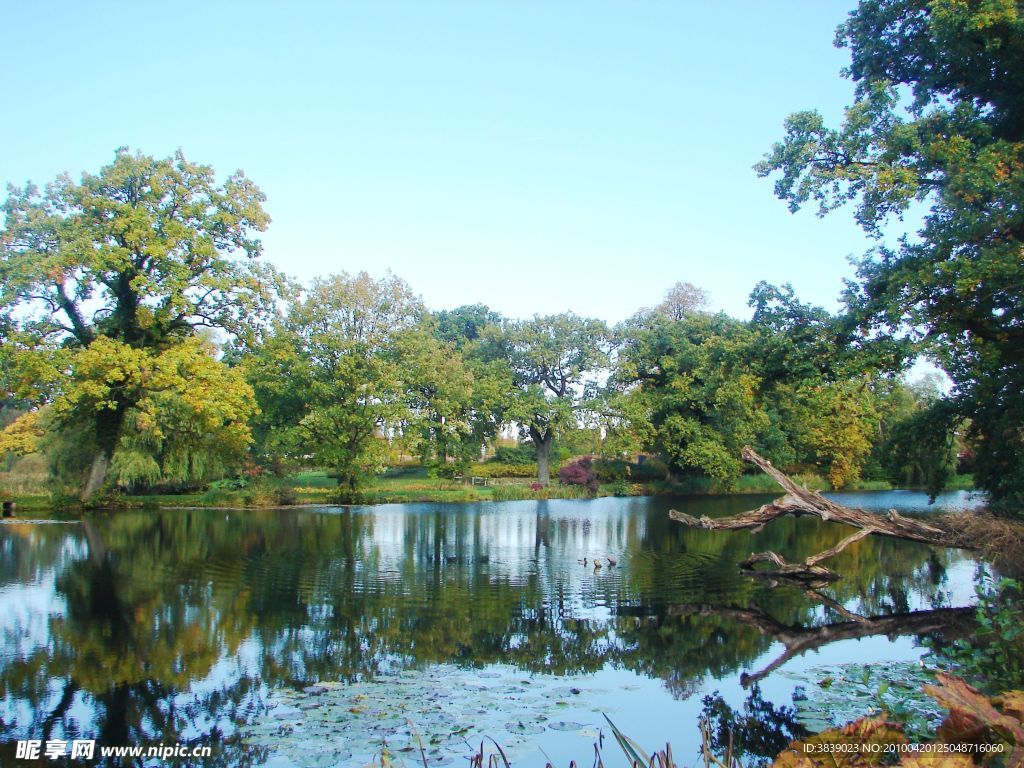 夏日皇宫花园 Summer Palace Gardens