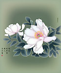 白依丽人