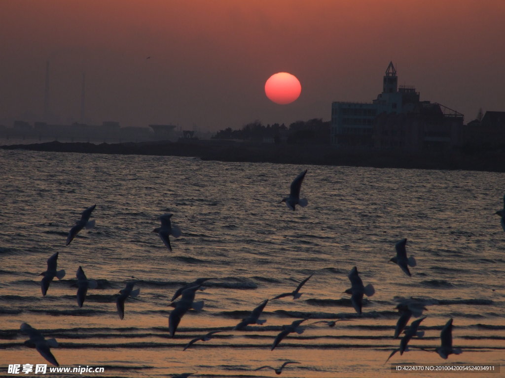 红夕阳