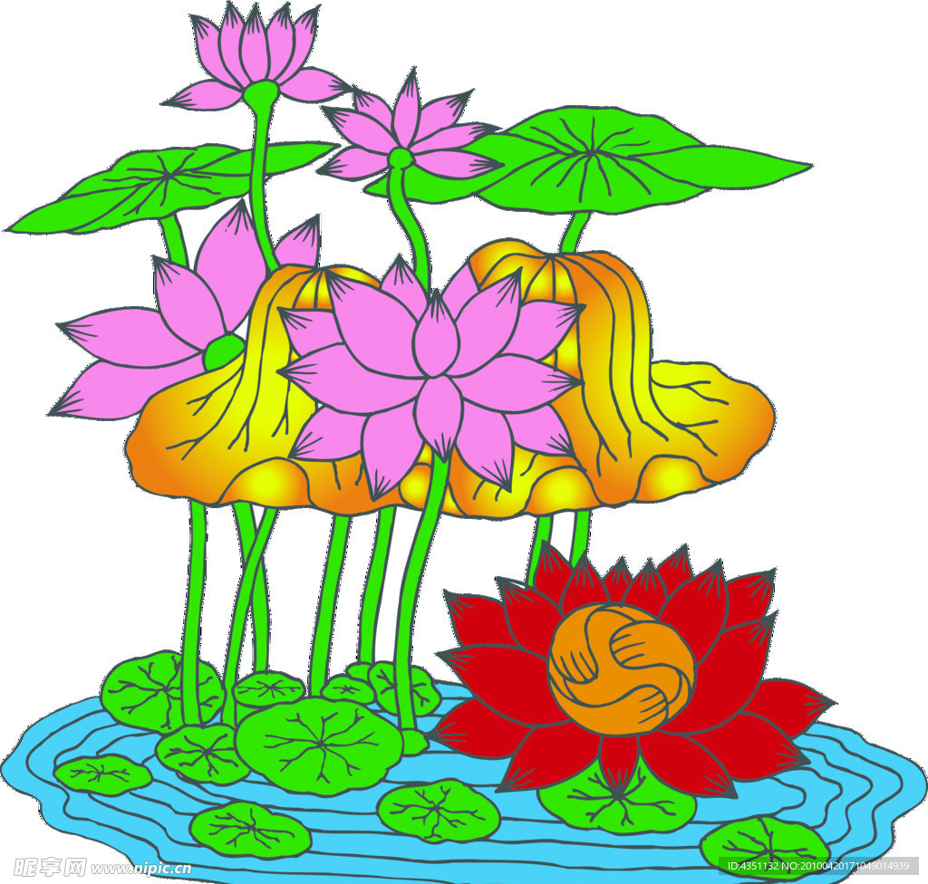 荷叶 莲花 红花 海水
