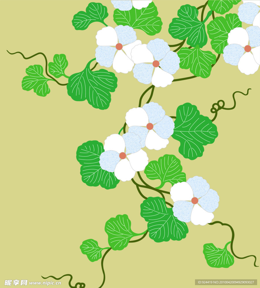 四叶花