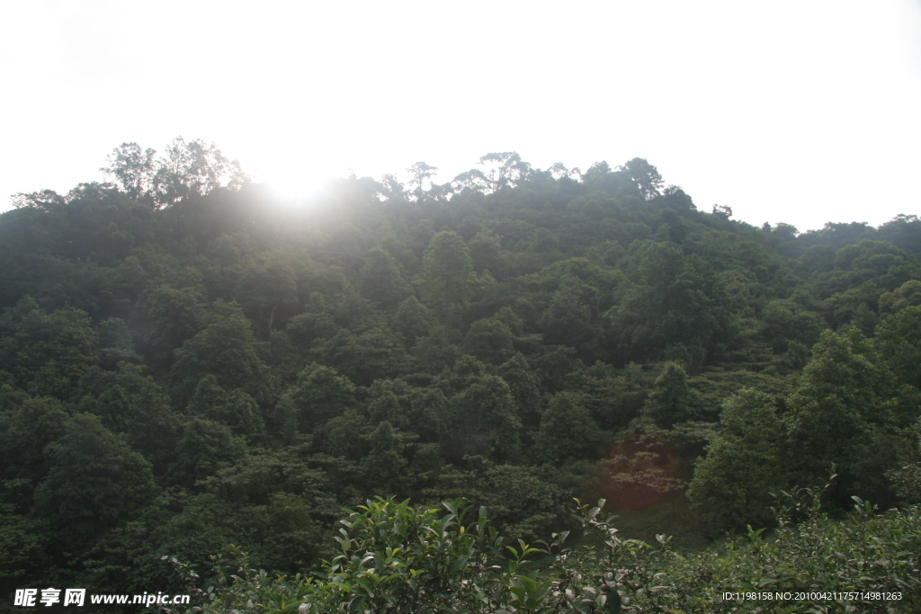 鼎湖山