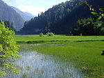 九寨沟的山水和草