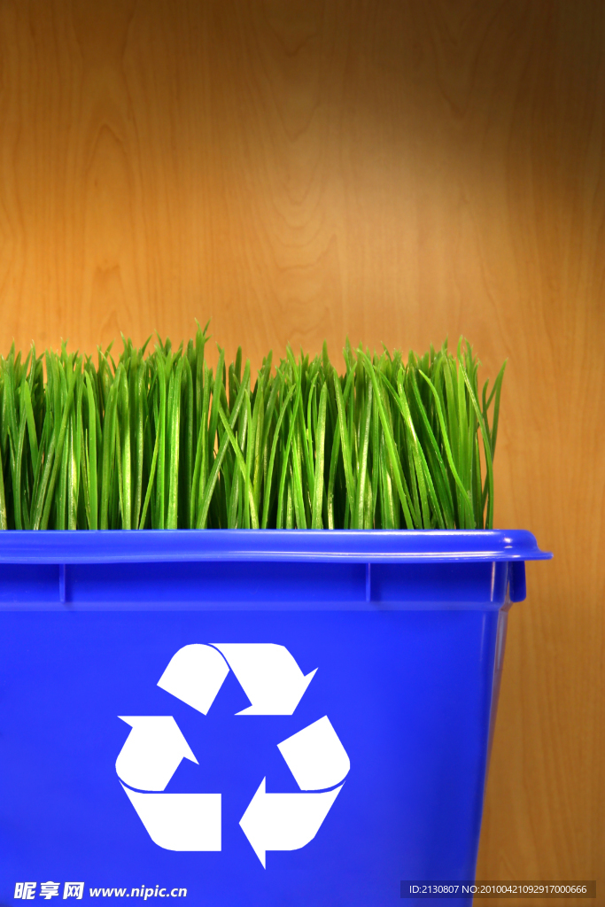 环保概念草和木板背景的蓝色回收桶