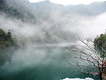 雾气氤氲的水面
