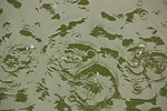 水波 水泡