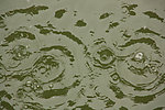 水波 水泡