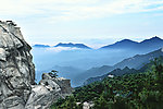 哲仁观海
