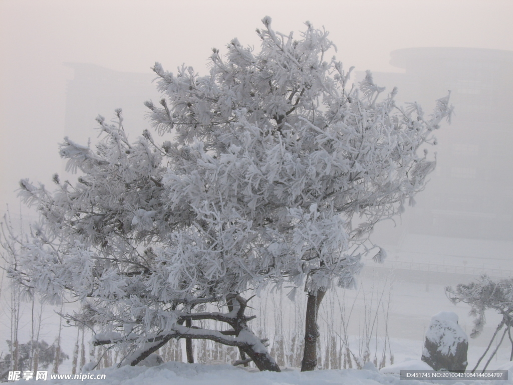 雪景