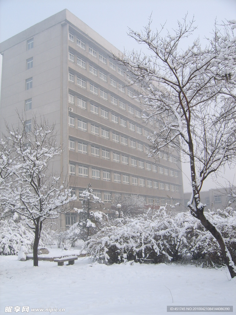 雪景