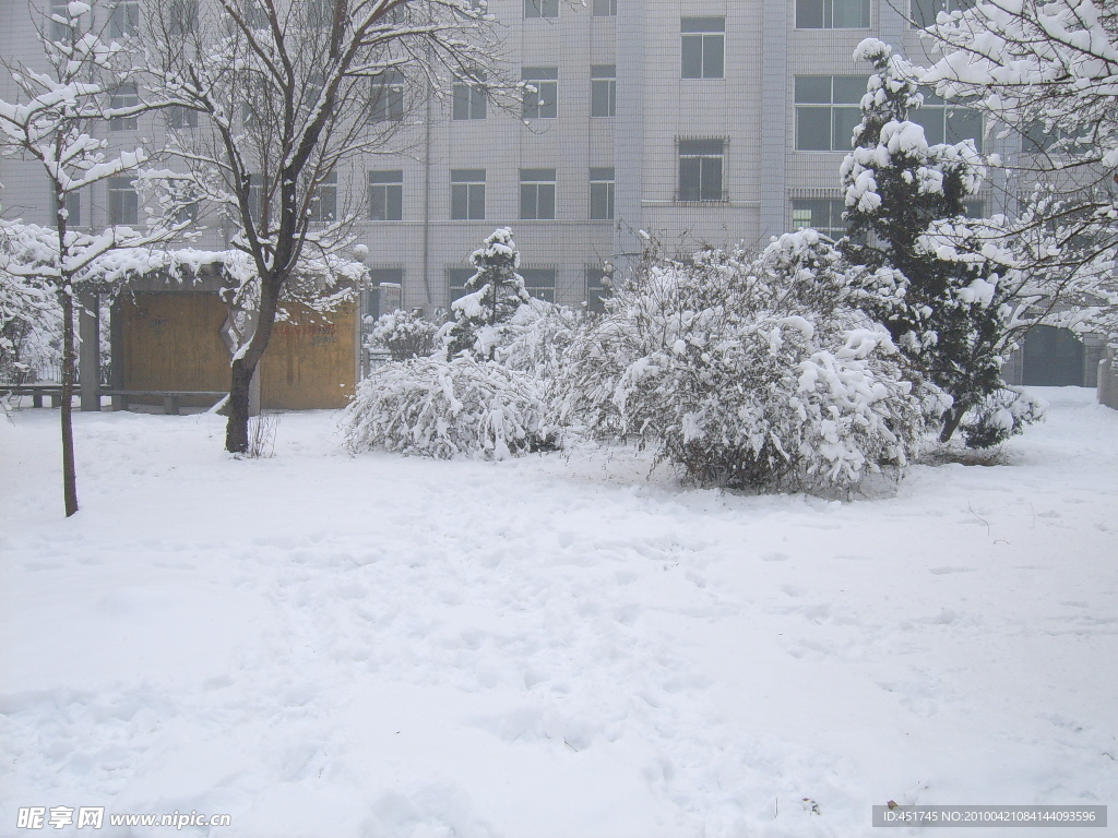 雪景