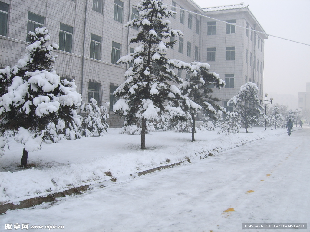 雪景