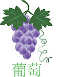 葡萄