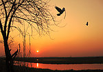 夕阳