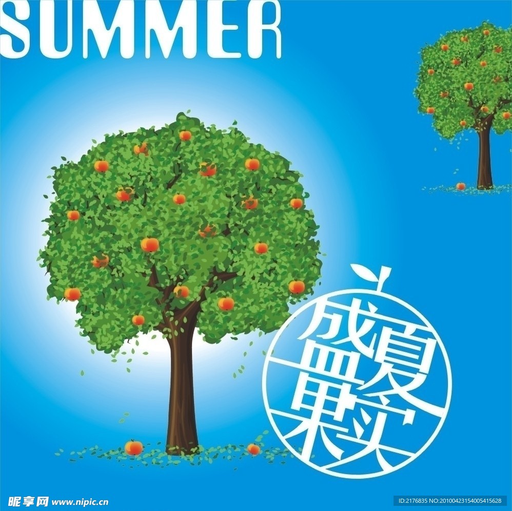 盛夏果实