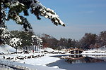 圆明园雪景