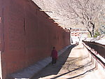 马路